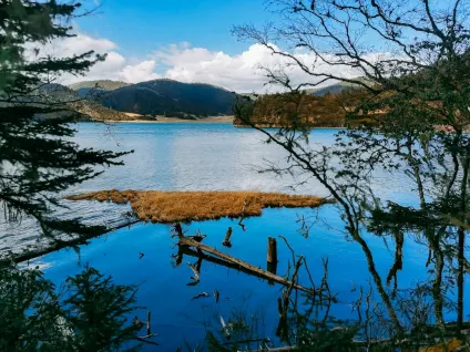 WagonBet Casaíne Aip Soghluaiste